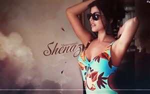 Shenaz Treasurywala